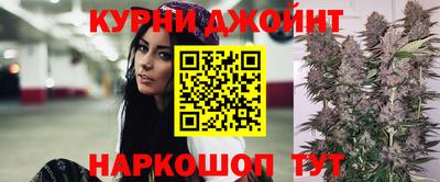apvp Бийск