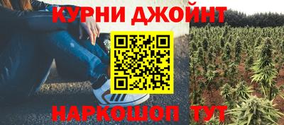 apvp Бийск