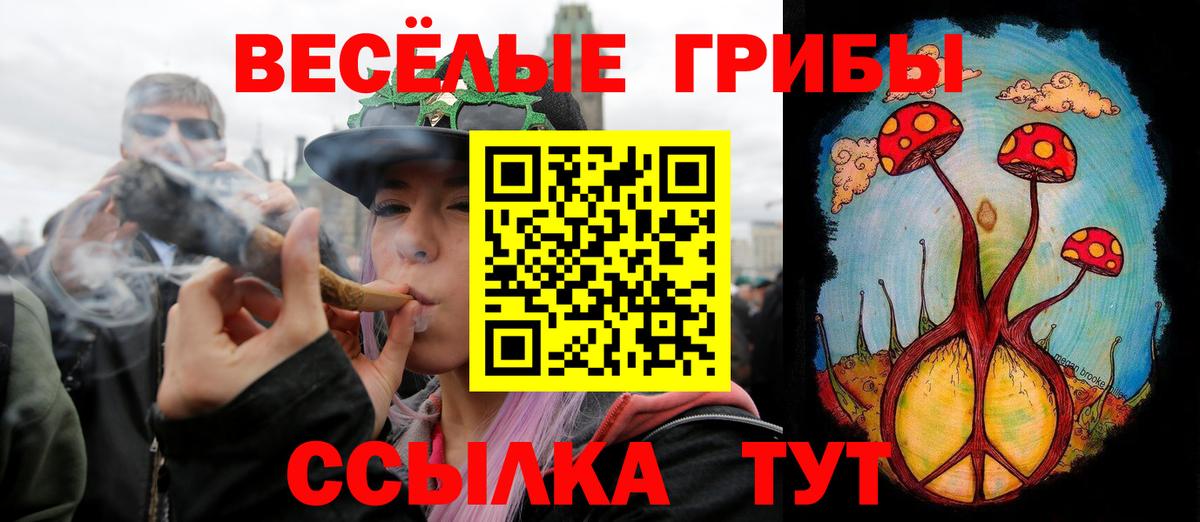 Галлюциногенные грибы мицелий  Вход с VPN  Кирово-Чепецк 
